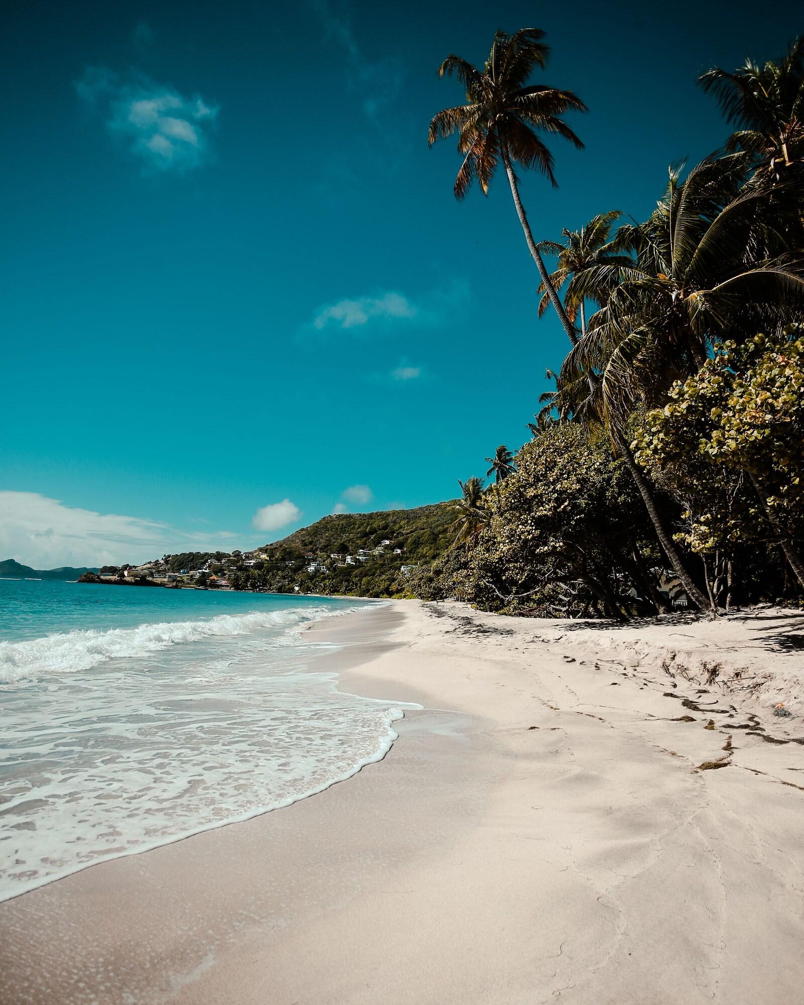 Bequia Beach Port Elizabeth Zewnętrze zdjęcie